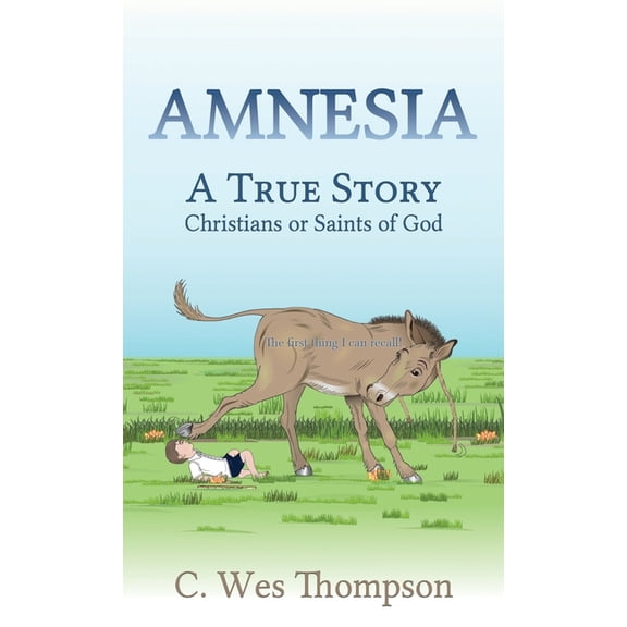 Amnesia: A True Story: Christians or Saints of God (Hardcover)