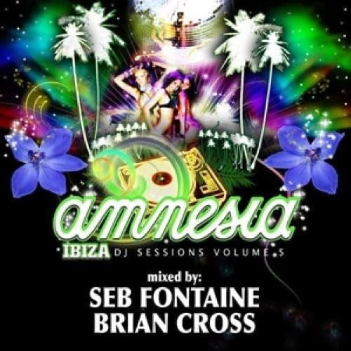 Amnesia Ibiza DJ Session Vol.5 (CD) Various