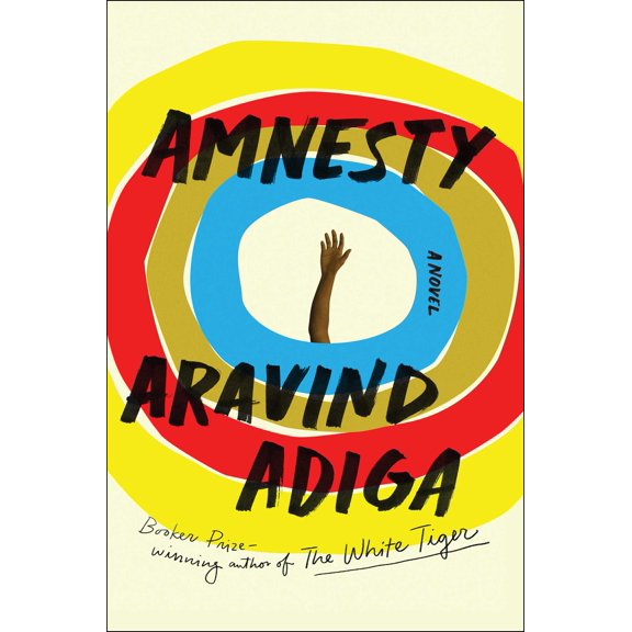 Amnesty : A Novel (Hardcover)