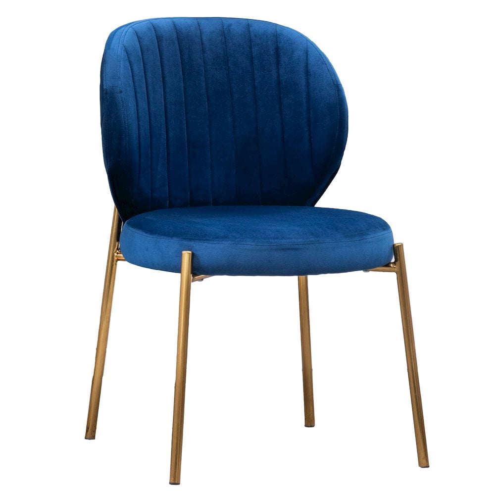 Roundhill Furniture Amoa Contemporary Velvet Upholstery Dining Chair