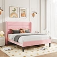 thumbnail image 1 of Amolife Full Size Platform Bed Frame with Velvet Upholstered Wingback Headboard, No Box Spring Needed, Pink, 1 of 9