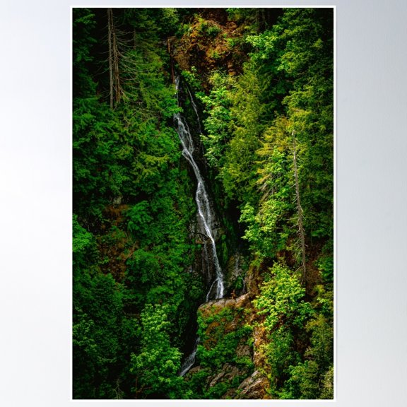 Among The Trees Poster Wall Art, Modern Wall Decor, 12x18 UNFRAMED