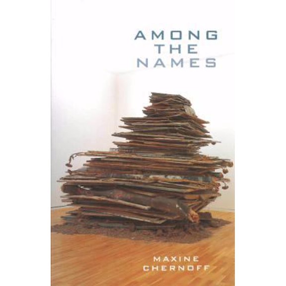 Pre-Owned Among the Names (Paperback) 0974468789 9780974468785