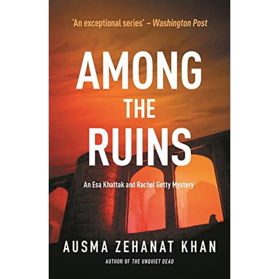Pre-Owned Among the Ruins Paperback