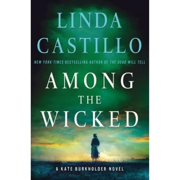 Pre-Owned Among the Wicked (Hardcover) 1250061571 9781250061577