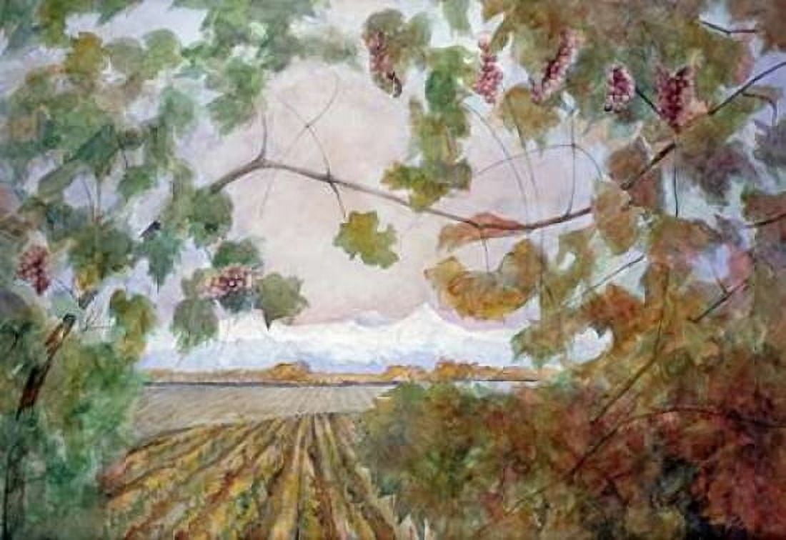 Amongst the Vineyards Canvas Art - Eduardo Audivert (20 x 28)