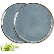 AmorArc Ceramic Appetizer Plates Set of 2, 8.25 Inch Large Stoneware Salad Plates for Kitchen, Microwave& Dishwasher Safe, Scratch Resistant-Space Blue