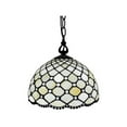 thumbnail image 1 of Amora Lighting Tiffany Style Jewel  Hanging Lamp 12" AM119HL12B  White, Clear, 1 of 5