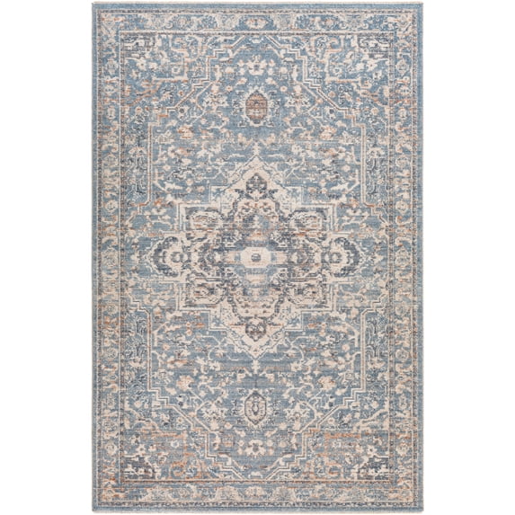 Amore Light Blue 8'10" x 13' Traditional Rectangle Area Rug