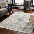 thumbnail image 1 of Amore Medium Gray 7'10" x 10' Traditional Rectangle Area Rug, 1 of 6