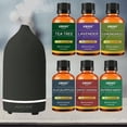 thumbnail image 1 of Amore' Paris Ultrasonic Aromatherapy Oil Diffuser and Essential Oils Set - 7 Piece Set Stone, 1 of 5