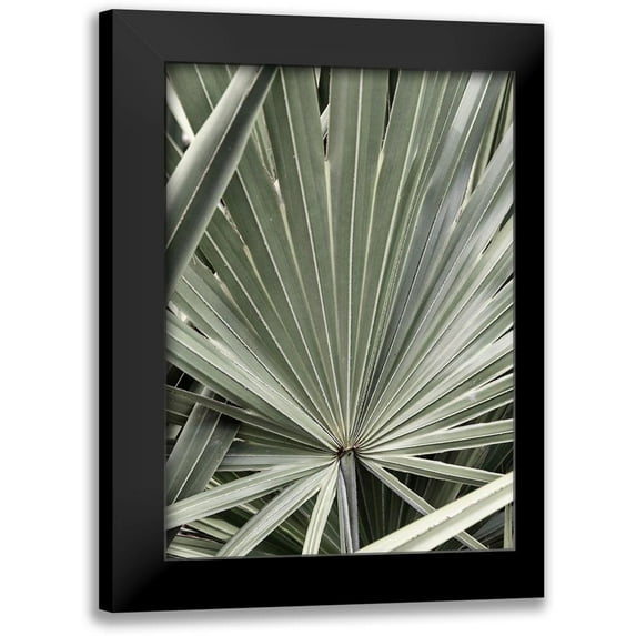 Amos, Andy 14x18 Black Modern Framed Museum Art Print Titled - Organic Palm I