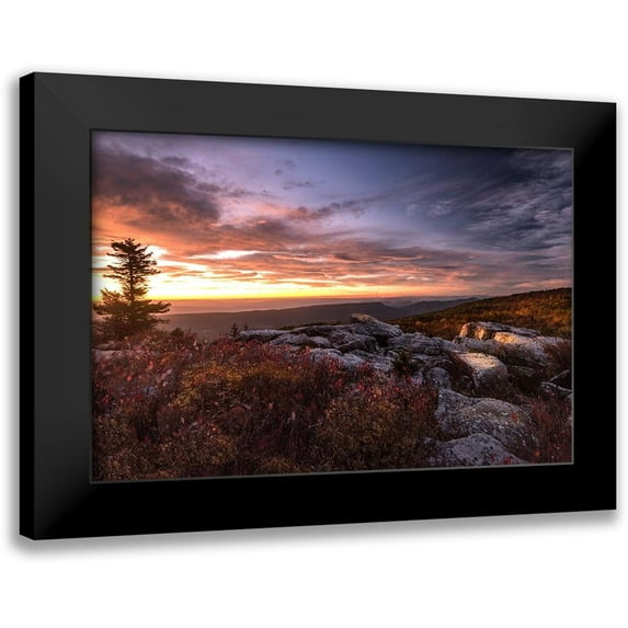 Amos, Andy 18x13 Black Modern Framed Museum Art Print Titled - Sunrise in Fall III