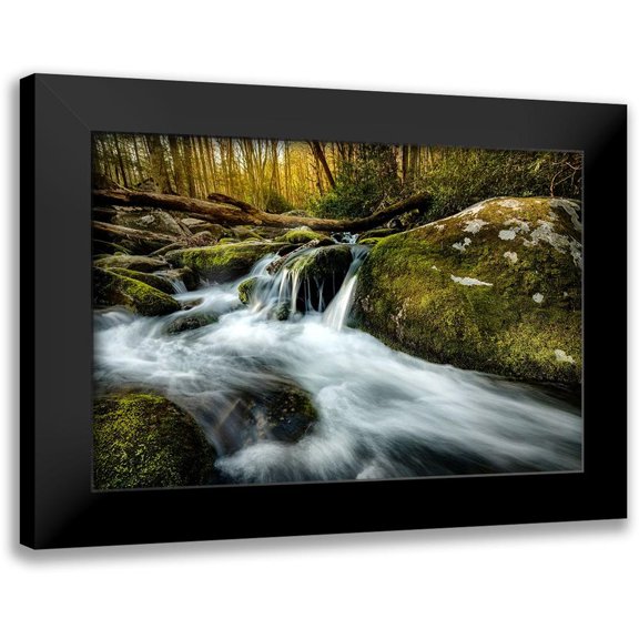 Amos, Andy 24x17 Black Modern Framed Museum Art Print Titled - Fallen Timber