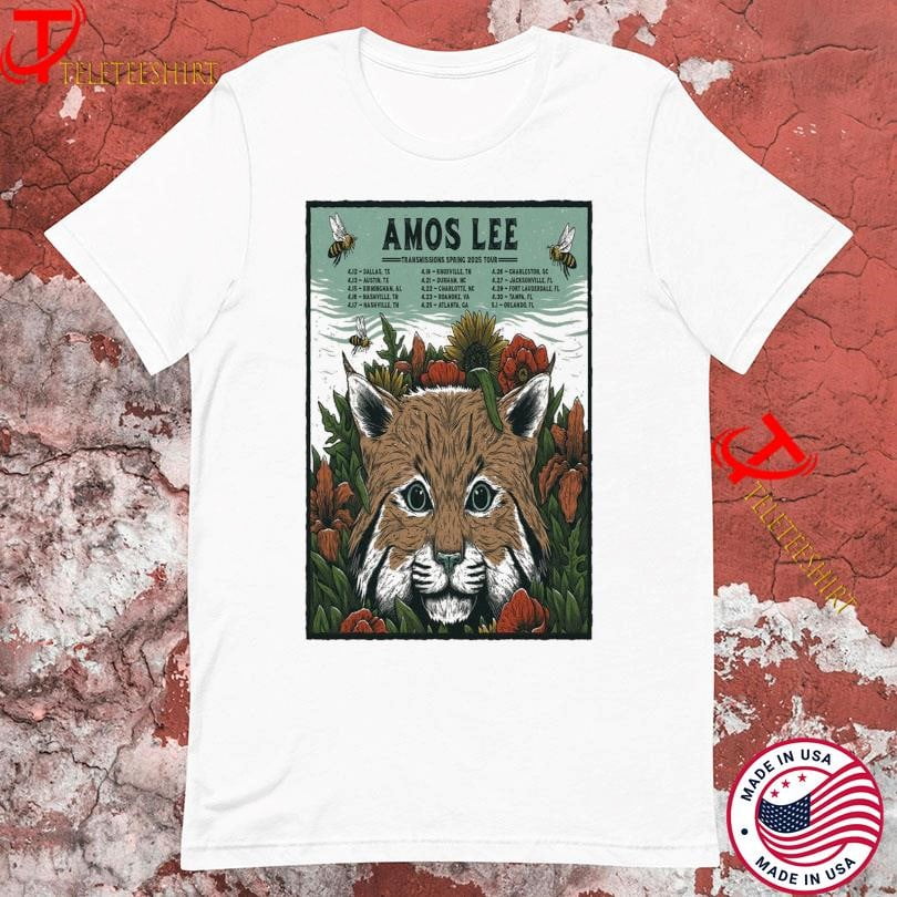 Amos Lee The Transmissions Spring 2025 Tour Tshirts