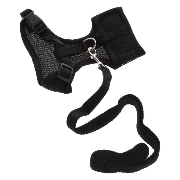 Amosfun 1Set Black Pet Rooster Leash Chain for Comfortable and Secure Outdoor Use