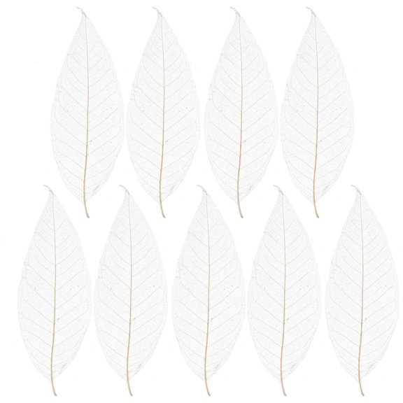 Amosfun 100Pcs White Handmade Skeleton Leaves for Art Creation Home Decor and Celebration Sets