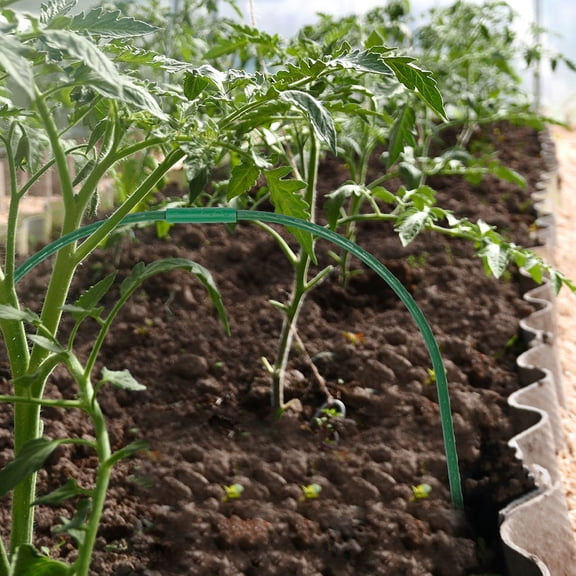 Amosfun Greenhouse Holders Durable Steel Plastic Hoops for Home Plant Protection