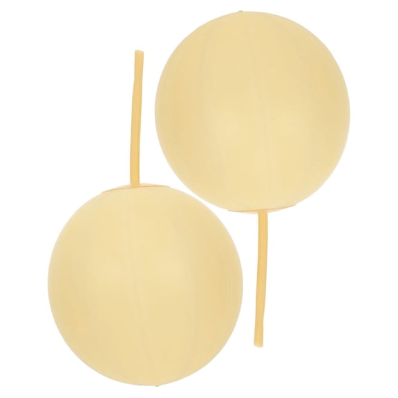 Amosfun 2Pcs Gas Sampling Bladder for Labs Versatile Latex Collector with Efficient Dualtail