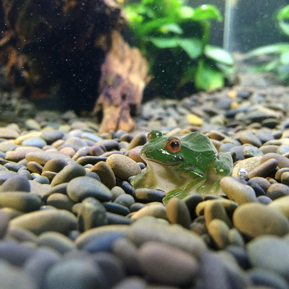 Amosfun 2pcs Decorative Frog Frog Figurine Sculpture Green Resin for Desktop Decor