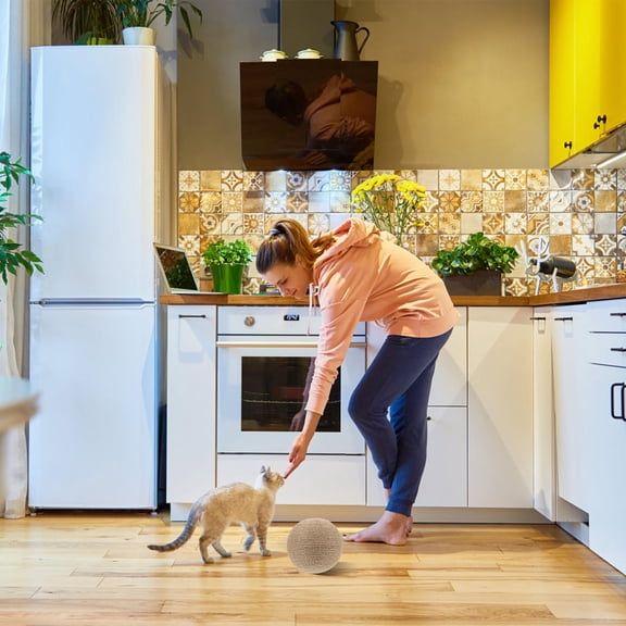 Amosfun Brown Cat Scratching for Grinding and Indoor Pet Entertainment Toy