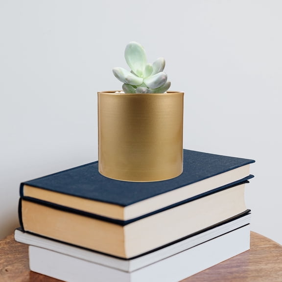 Amosfun Golden Desktop Flower Planter Pot Iron Material for Stylish Home Decor