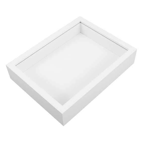 Amosfun Insect Specimen Display Photo Frame White Wooden Frame For Collectors 1Pcs