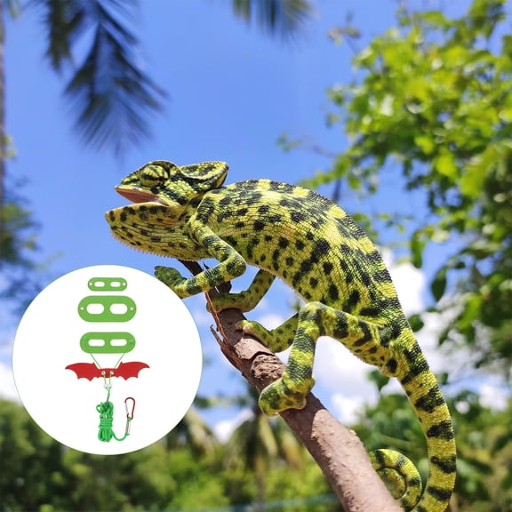 Amosfun Reptile Harness and Leash with Charming Wing Vest for Lizard and Small Pets