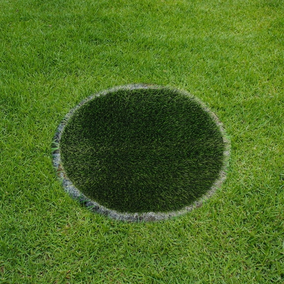 Amosfun Versatile Faux Grass Rug for Outdoor Manhole Cover and Dining Table Centerpiece