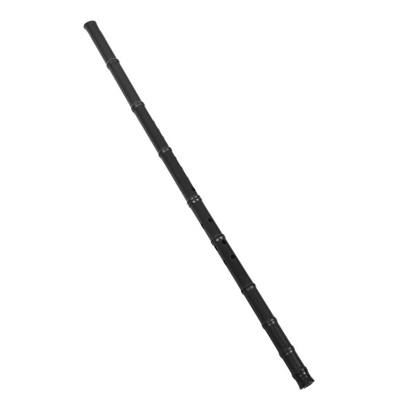 Amosfun Weatherproof Resin 4 Section Vertical Flute Key of G with 8 Holes for Beginner Use