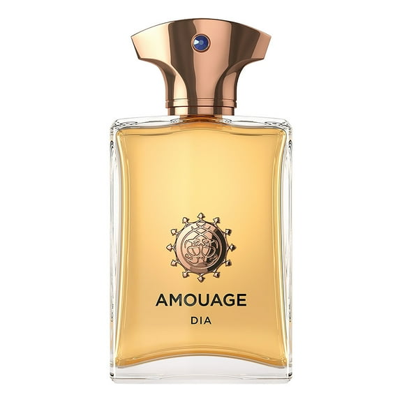Amouage Men's Dia EDP Spray 3.4 oz (100 ml)