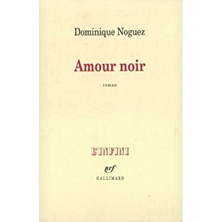 Pre-Owned Amour Noir (Paperback) 9782070750238