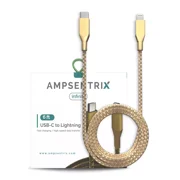 AmpSentrix - 6 Ft Non-MFI USB Type C To Lighting Cable Infinity Gold