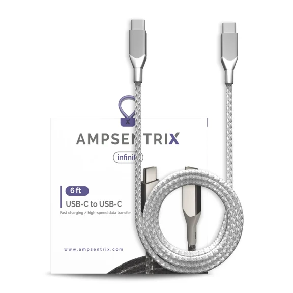 AmpSentrix - 6 Ft USB Type C To USB Type C Cable (Infinity) (Silver)
