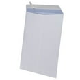 thumbnail image 1 of Ampad 10x13 Cat Sec R&s 6 Count Envelope, 1 of 2