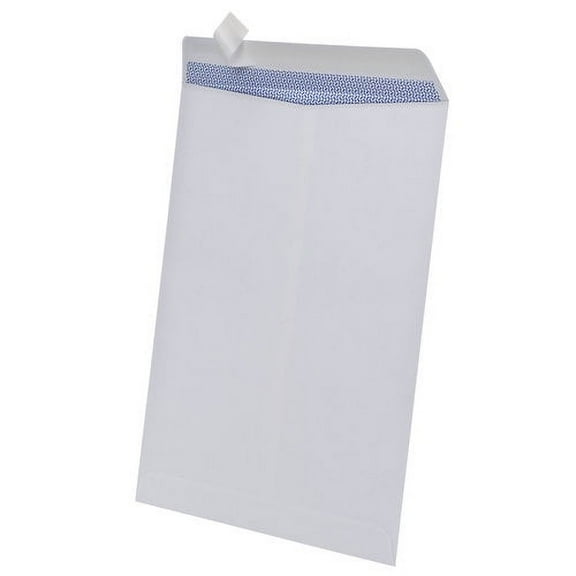 Ampad Catalog Security Envelope, White, 25pk