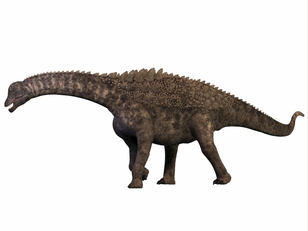 Ampelosaurus dinosaur Canvas Art - Corey FordStocktrek Images (17 x 13)