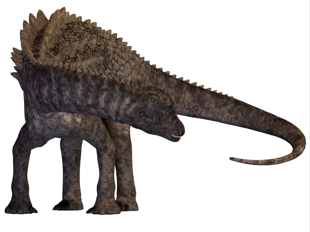 Ampelosaurus dinosaur Canvas Art - Corey FordStocktrek Images (17 x 13)