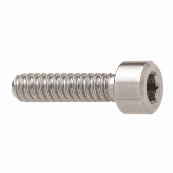 M6-1.00 Socket Head Cap Screw, Socket, Plain 316 Stainless Steel, 30 mm Length ZSS616M6X30