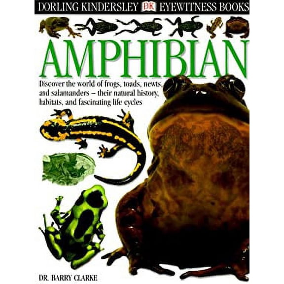 Pre-Owned Amphibian: Discover the World of Frogs, Toads, Newts, and Salamanders - Their Natural History, Habitats, and Fascinating Life Cycles (Library Binding) 0789465906 9780789465900