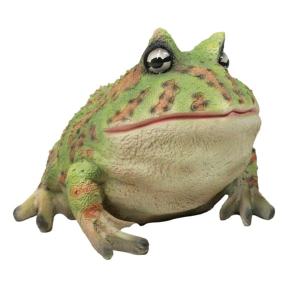 Amphibian Wildlife Realistic Green Bullfrog Frog In Stoic Posture Figurine 7"L
