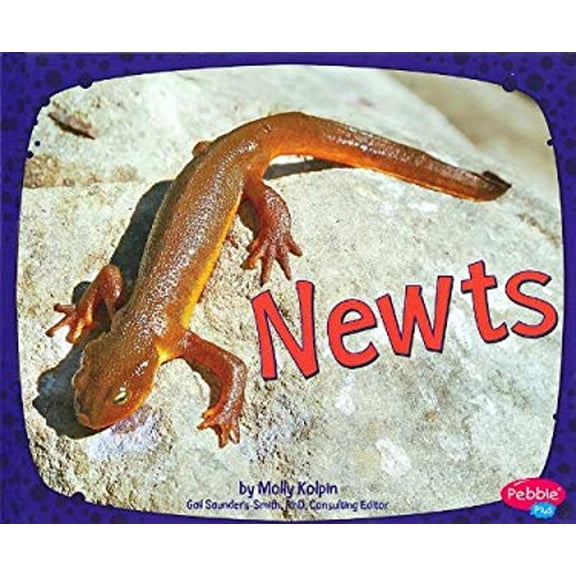 Pre-Owned Amphibians: Newts (Hardcover)