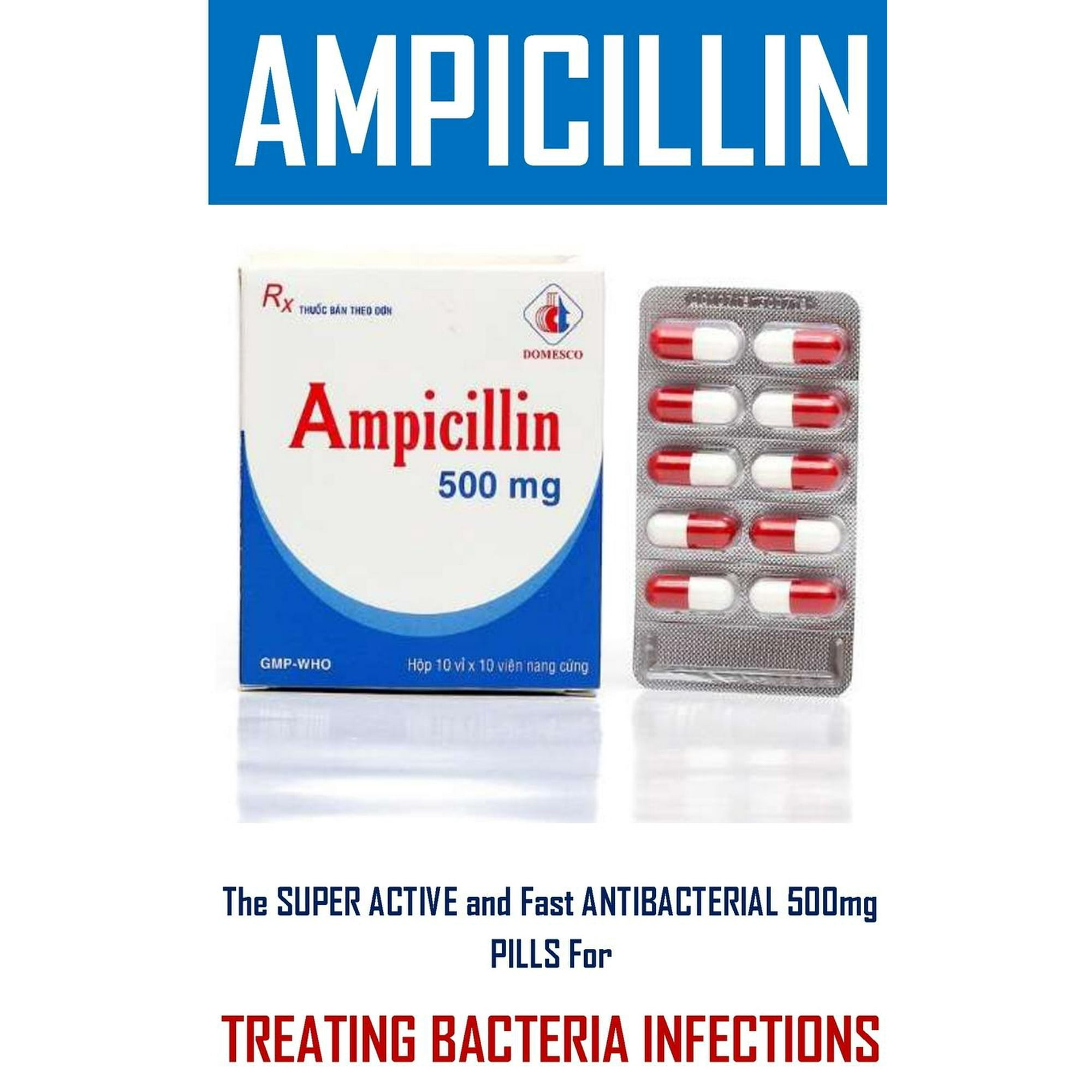 ampicillin to buy