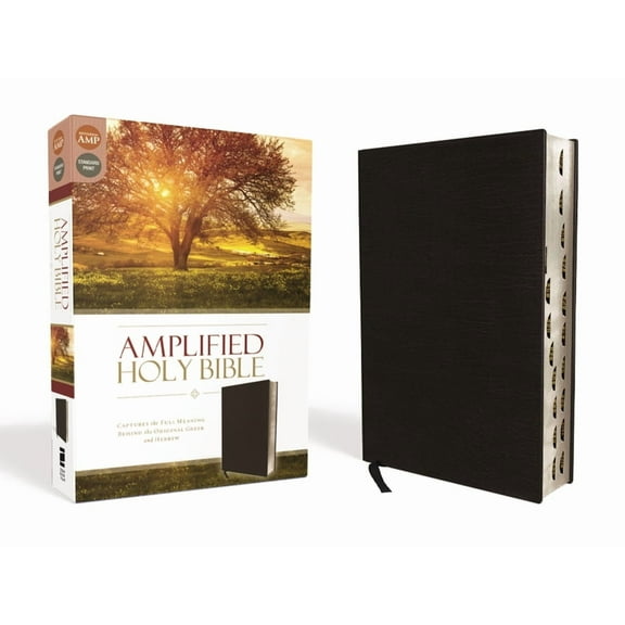 Amplified-Am: Captures the Full Meaning Behind the Original Greek and Hebrew, (Hardcover)