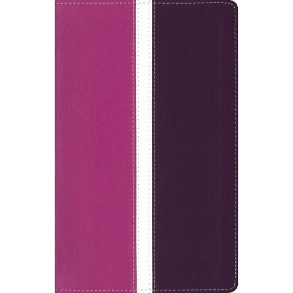 Amplified Holy Bible