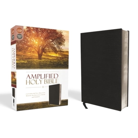 Pre-Owned Amplified Bible-Am: Captures the Full Meaning Behind the Original Greek and Hebrew (Bonded Leather) 031044392X 9780310443926