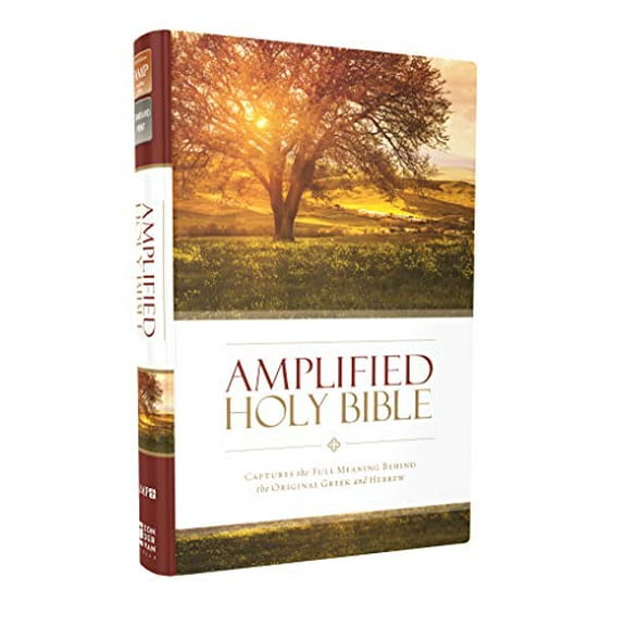 Pre-Owned AMPLIFIED THINLINE BIBLE HC HC: Captures the Full Meaning Behind the Original Greek and Hebrew Paperback