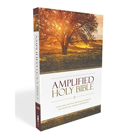 Pre-Owned Amplified Bible-Am: Captures the Full Meaning Behind the Original Greek and Hebrew (Paperback) 0310443903 9780310443902