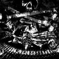 thumbnail image 1 of Amputator & Deiphago - Amputator & Deiphago - Rock - Vinyl, 1 of 1