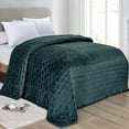 thumbnail image 1 of Amrani Bedcover Embossed Blanket Soft Premium Microplush Green by Plazatex, 1 of 2